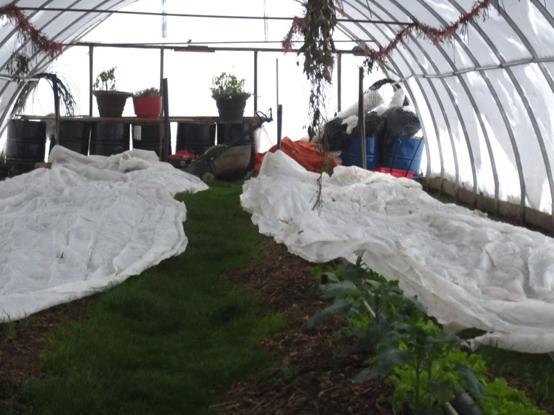 Soil warming system 3