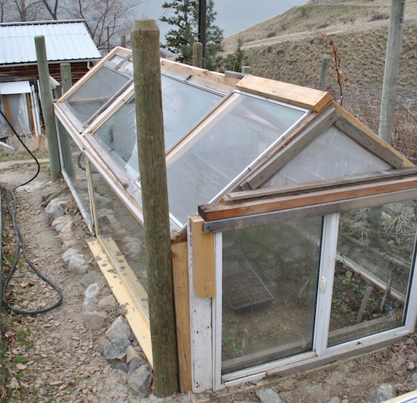 Kok's greenhouse