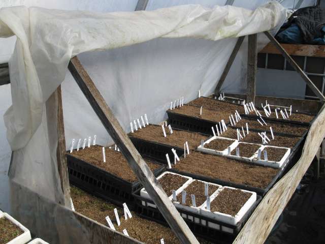 germ chamber open