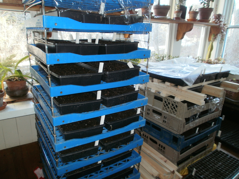 broadfork 1