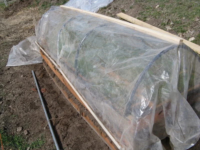 Cold Frame 3