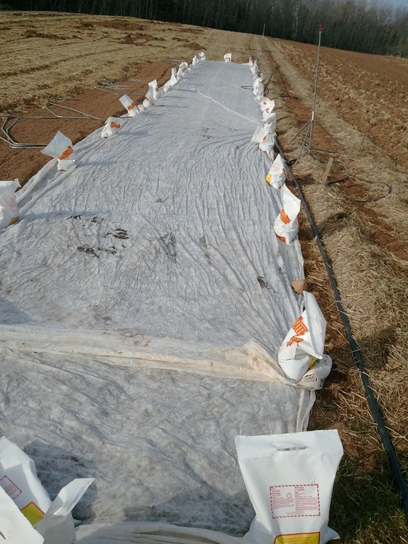 Sandbag anchors