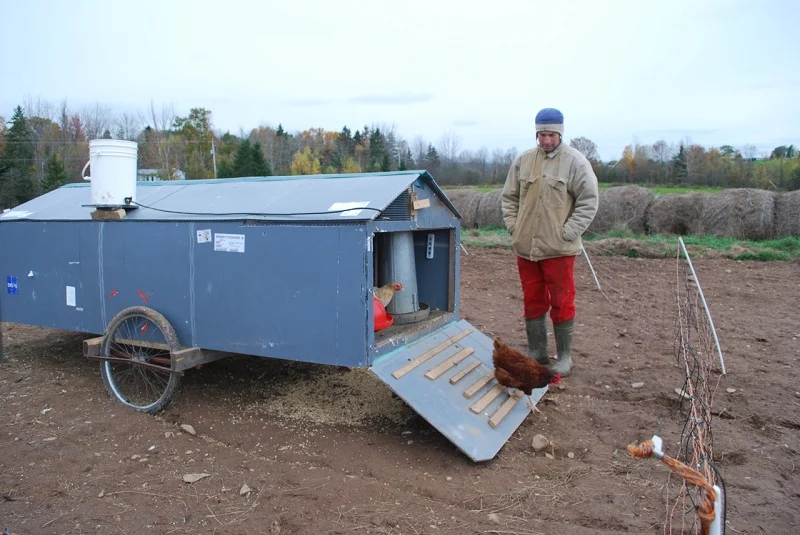 Abundant Acres coop 3