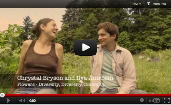 filmanac screenshot