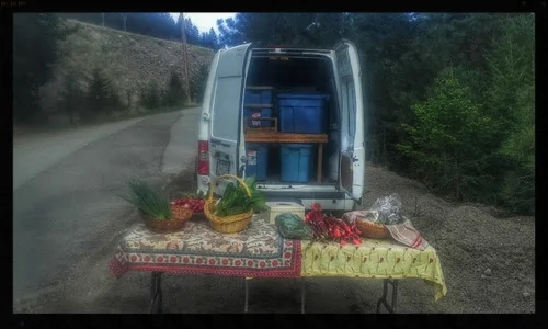 Humble beginnings for the inaugral Friday Night Market at the top of the driveway.