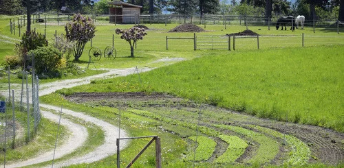 Driveway, Spring.