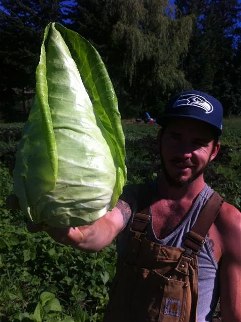 From left to right: Summer Cabbage. Ryan.