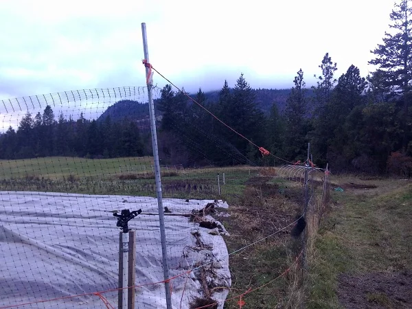 Our approach to deer fencing: flimsy but effective and cheap like borcht. The half inch conduit tubing is $2.75 per ten foot piece (contractor price) and the netting is $20/100 ft at Lee Valley.