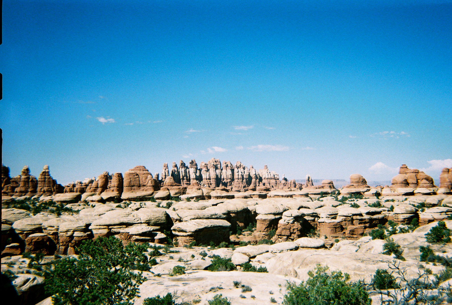 canyonland ladies.jpg