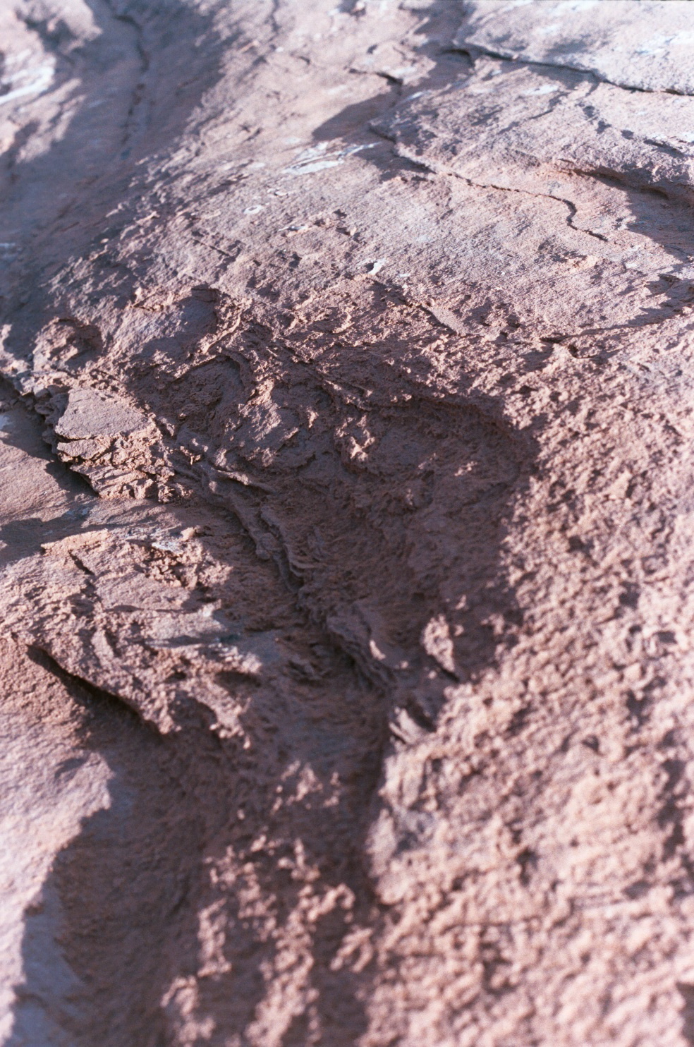 canyonlands sand.JPG