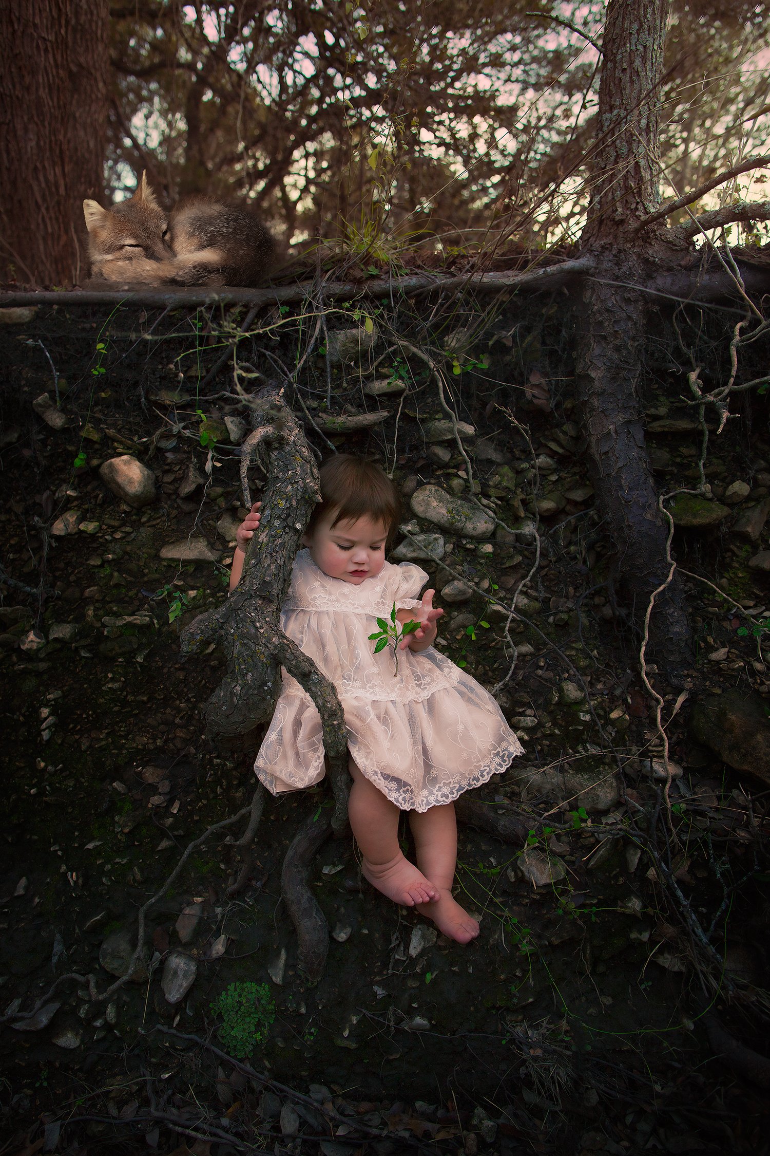 Niki Aguirre_Photography 7.jpg