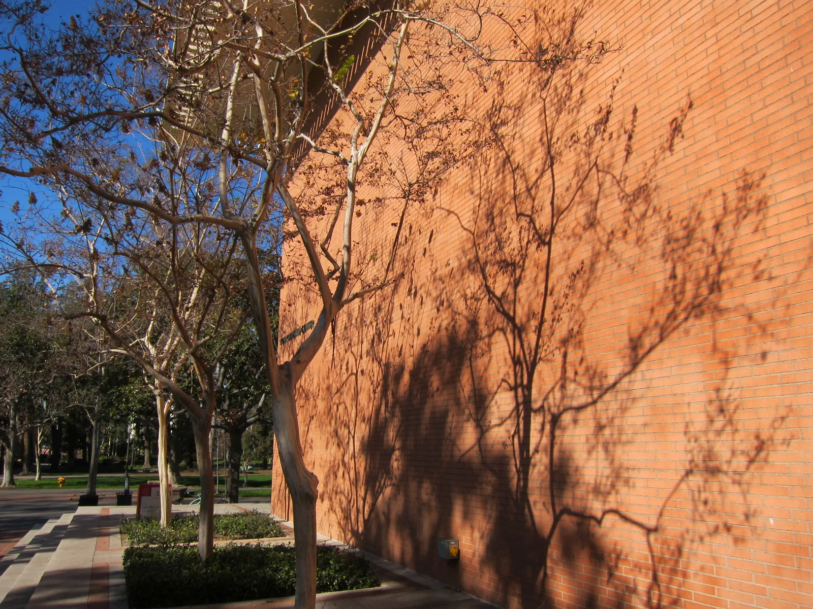 122913_USC+CSC 023.JPG