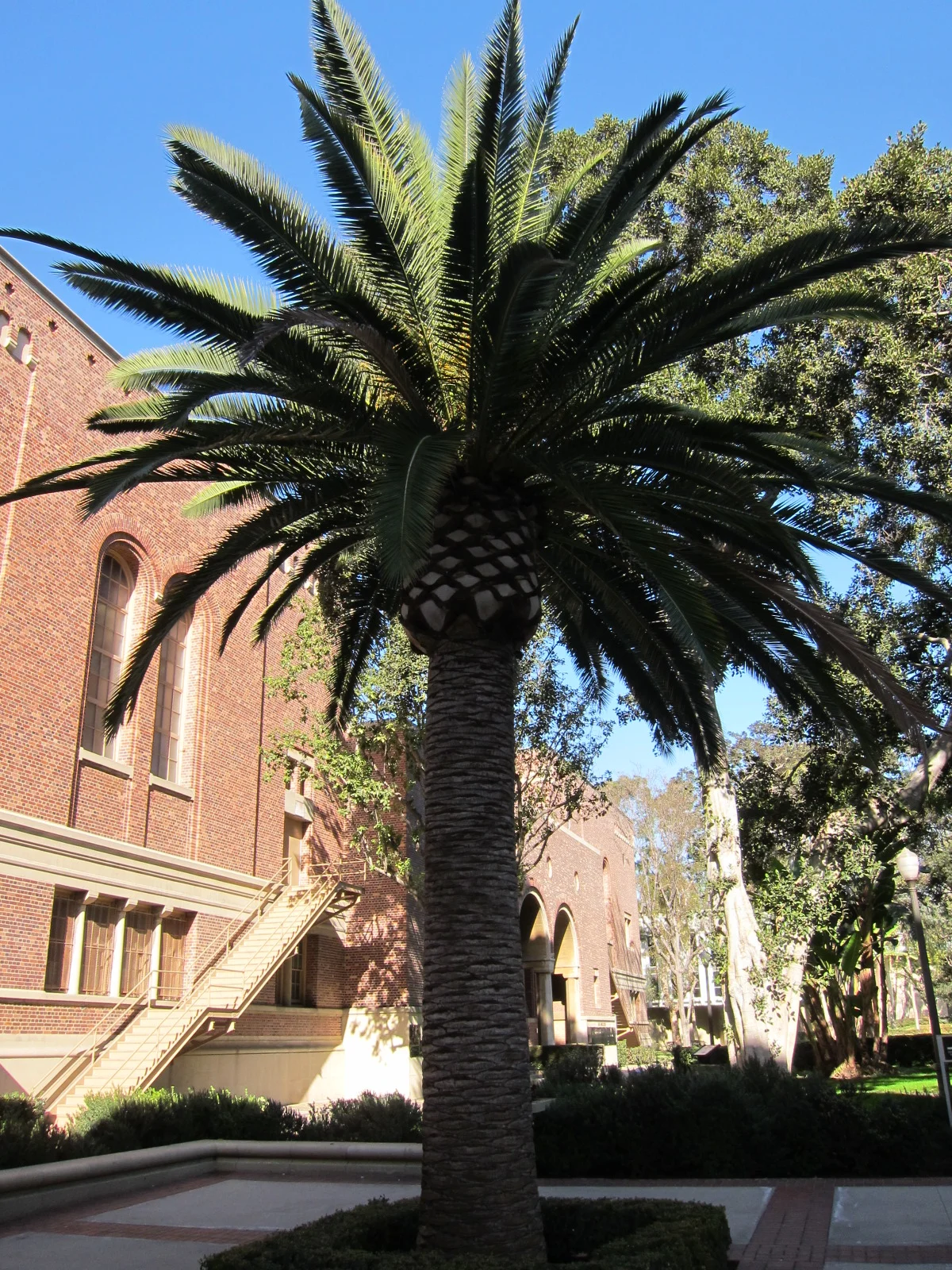 122913_USC+CSC 031.JPG