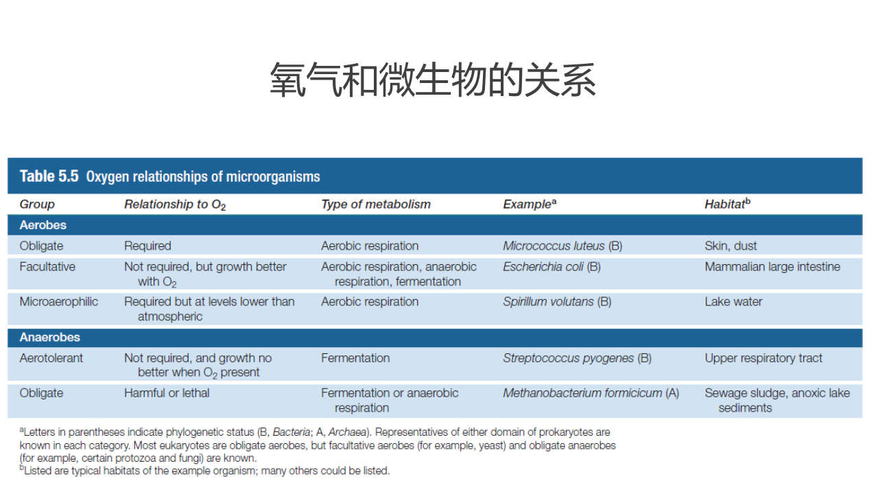 幻灯片6.PNG