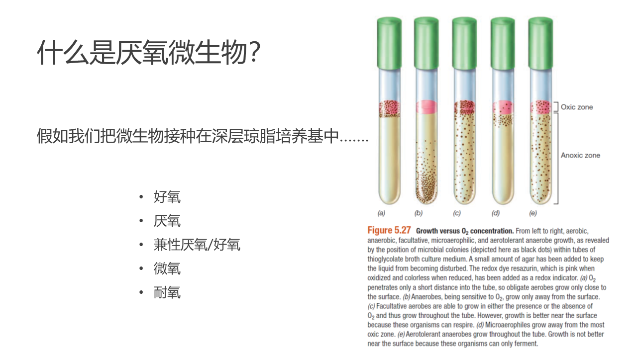 幻灯片5.PNG