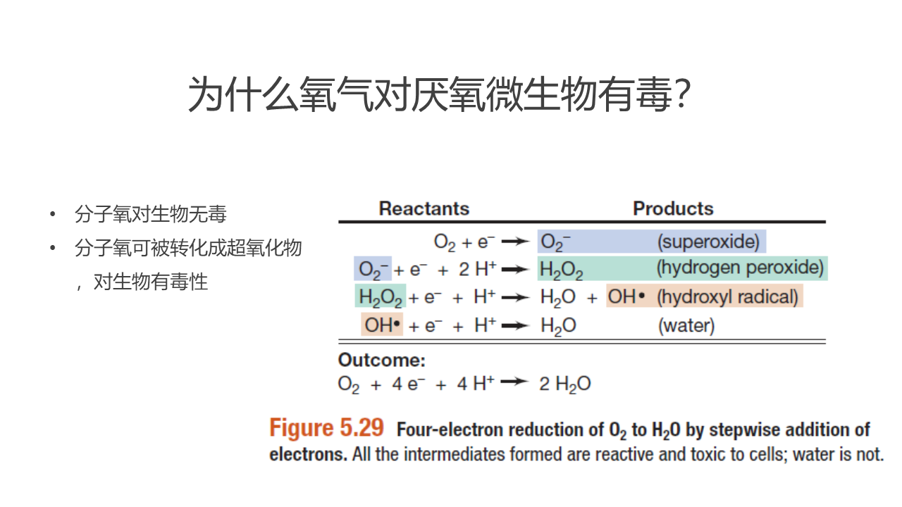 幻灯片7.PNG