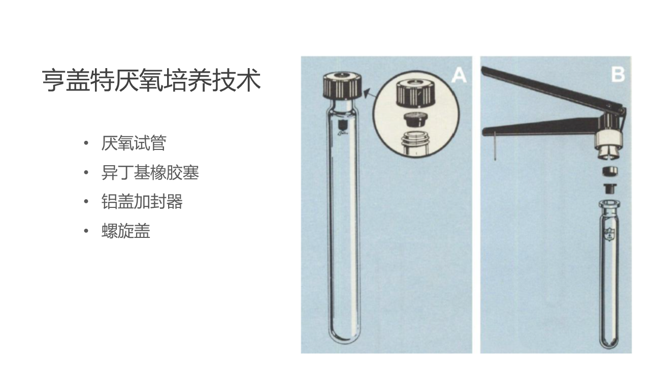 幻灯片11.PNG