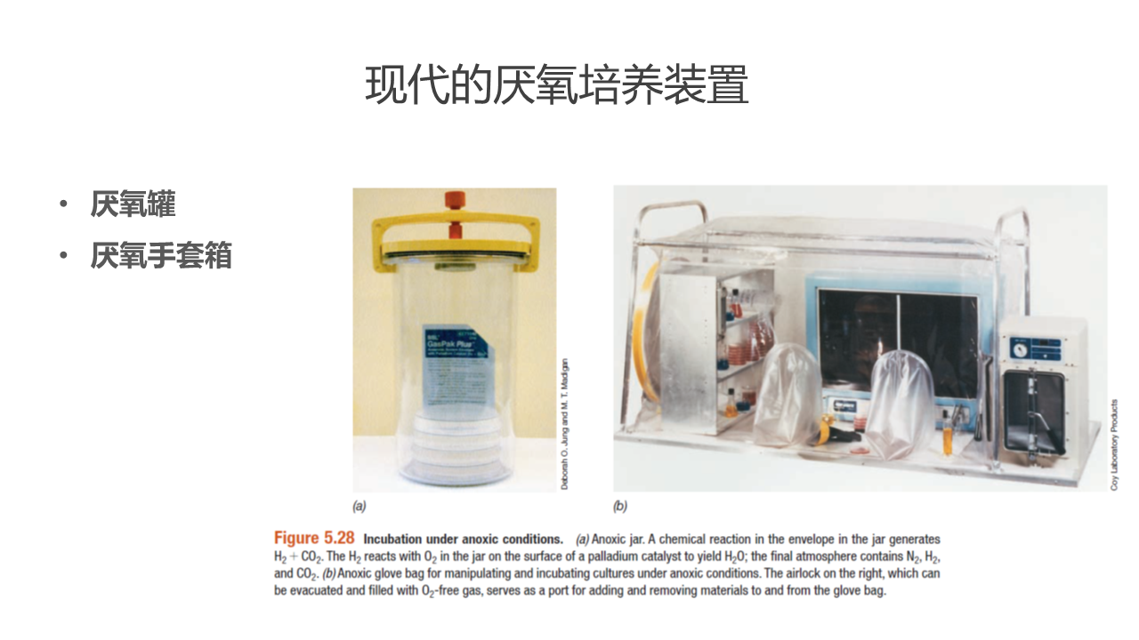幻灯片12.PNG