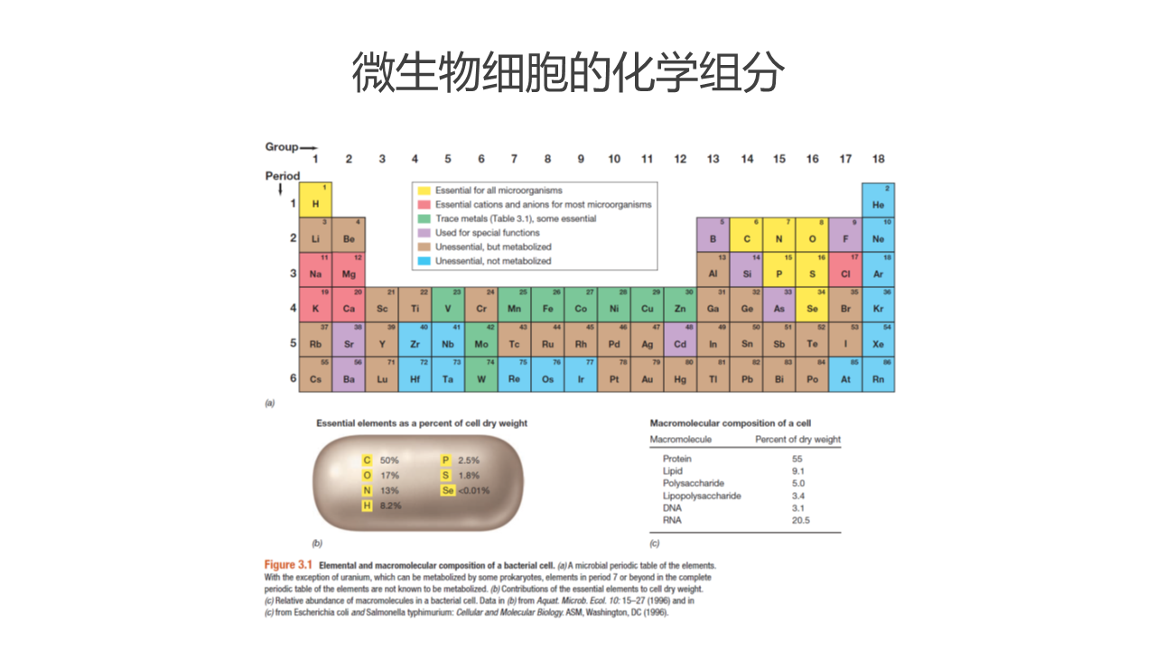 幻灯片14.PNG