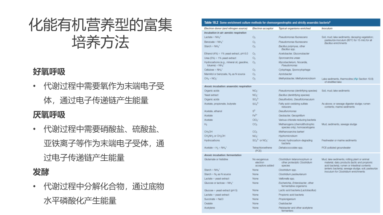 幻灯片21.PNG