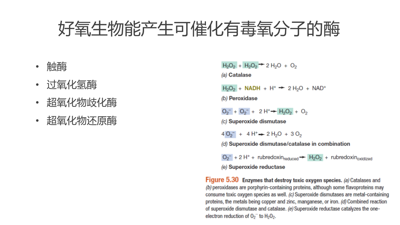 幻灯片8.PNG