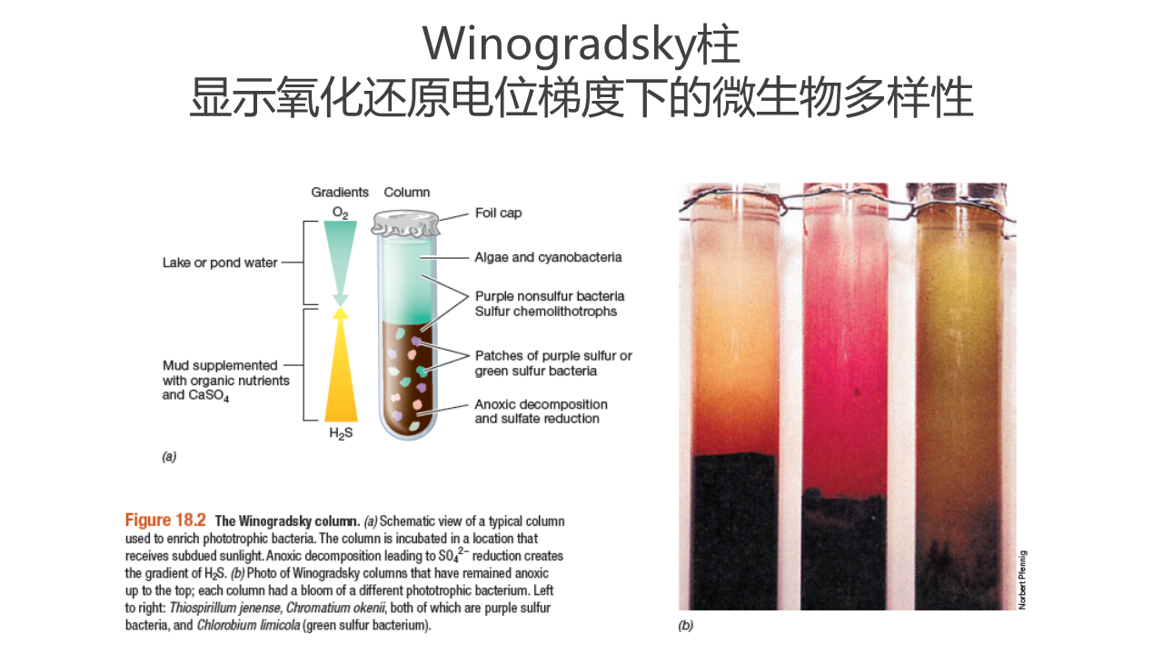 幻灯片19.PNG