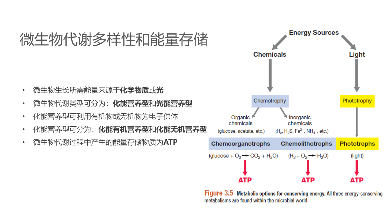 幻灯片5.PNG