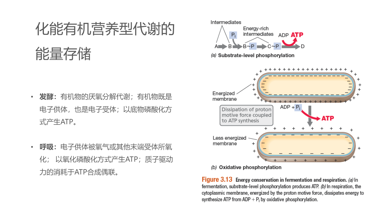 幻灯片24.PNG