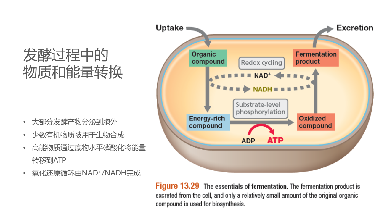 幻灯片25.PNG