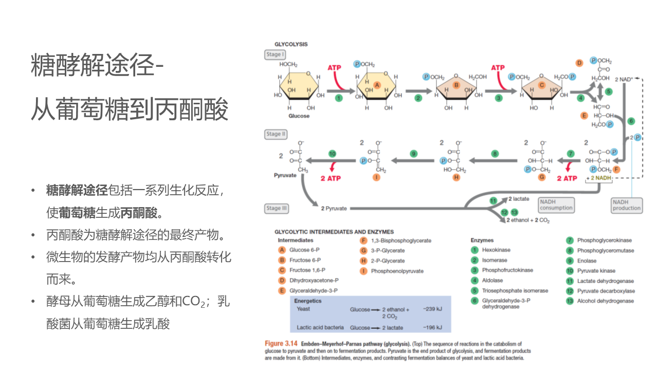 幻灯片26.PNG