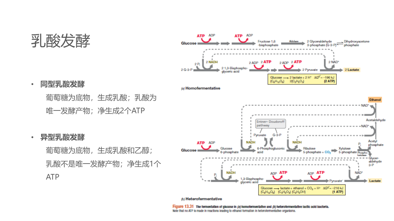 幻灯片29.PNG