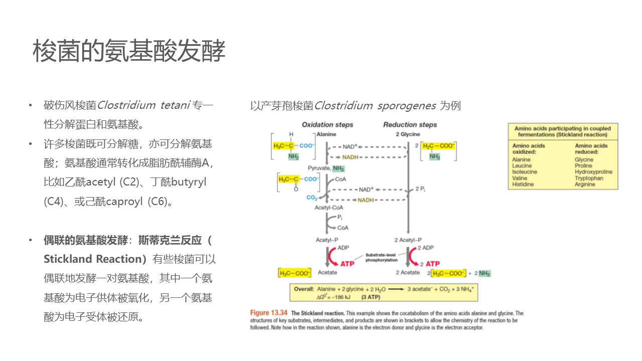 幻灯片32.PNG