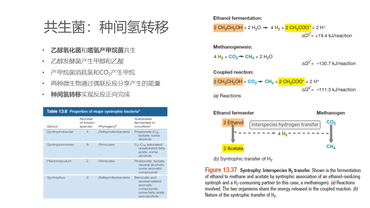 幻灯片36.PNG