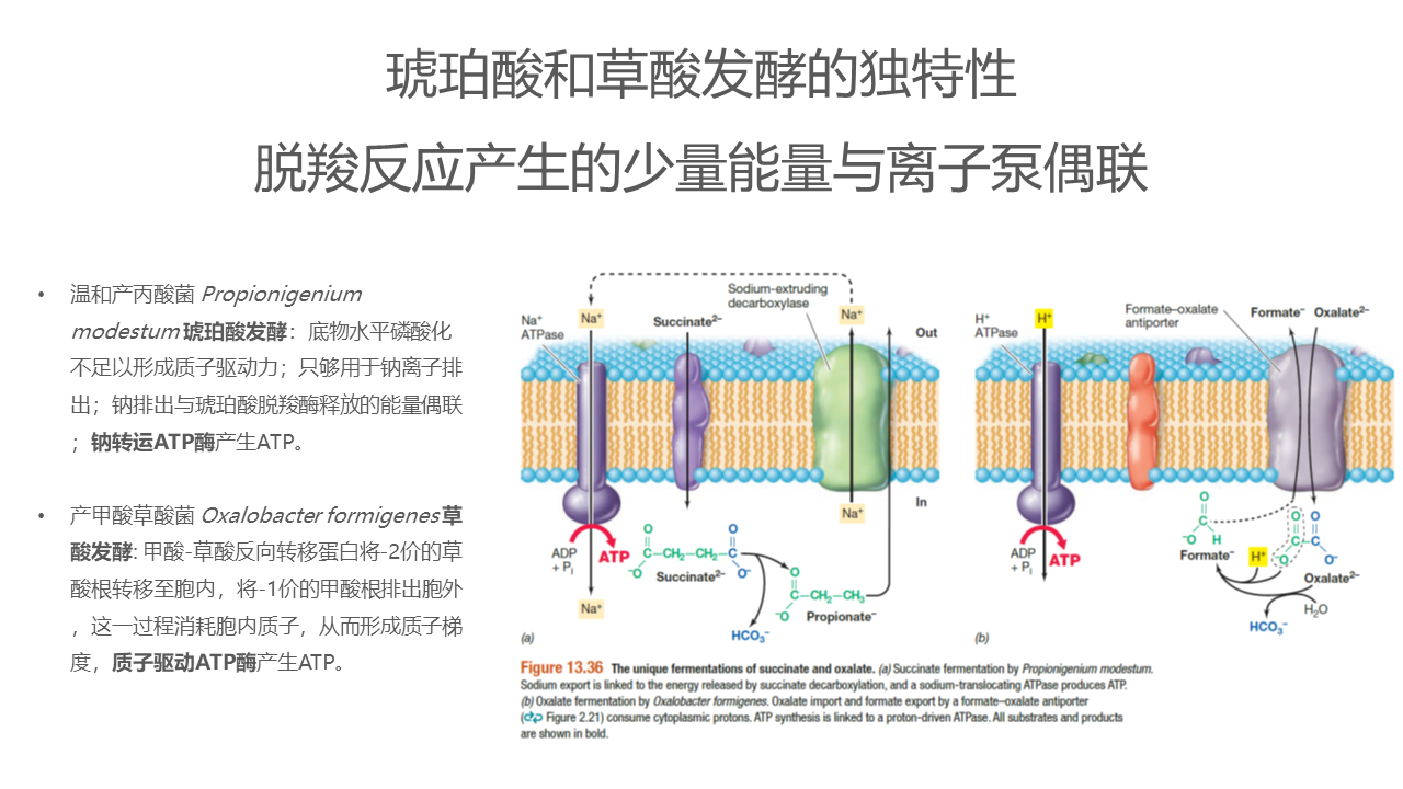 幻灯片35.PNG