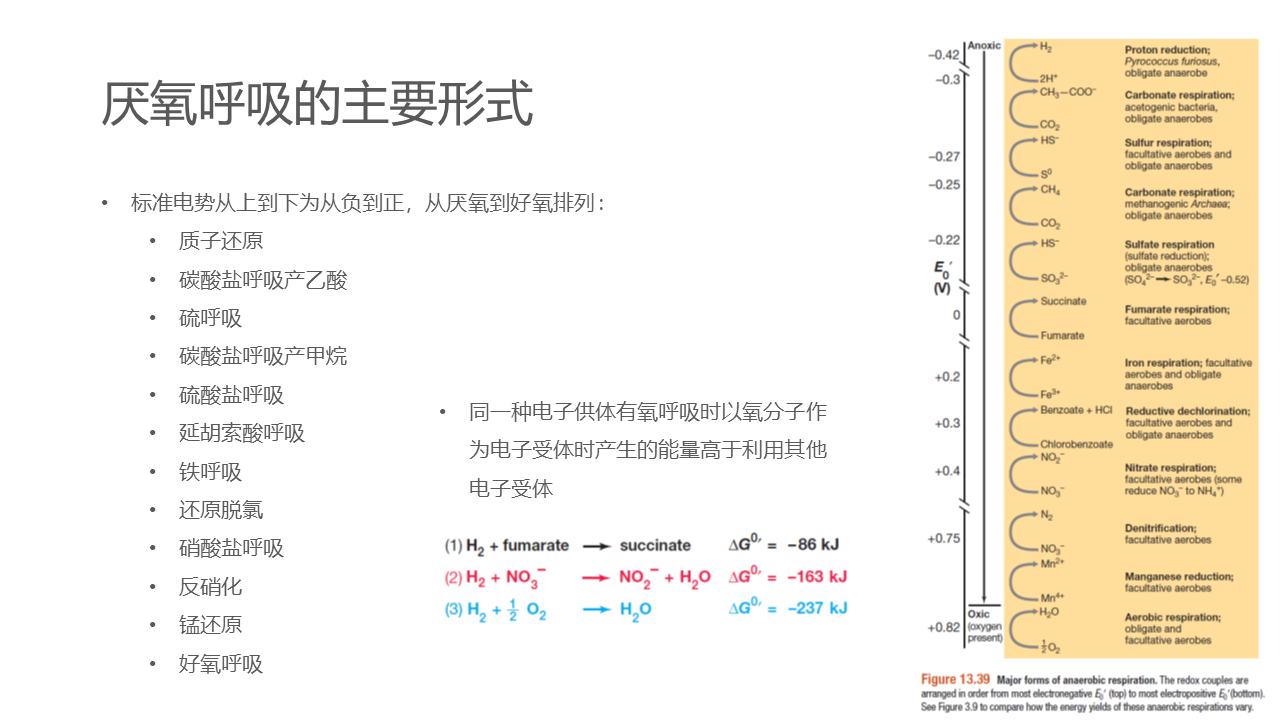 幻灯片39.PNG