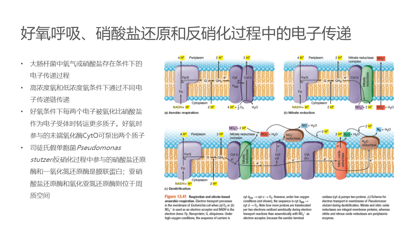 幻灯片41.PNG