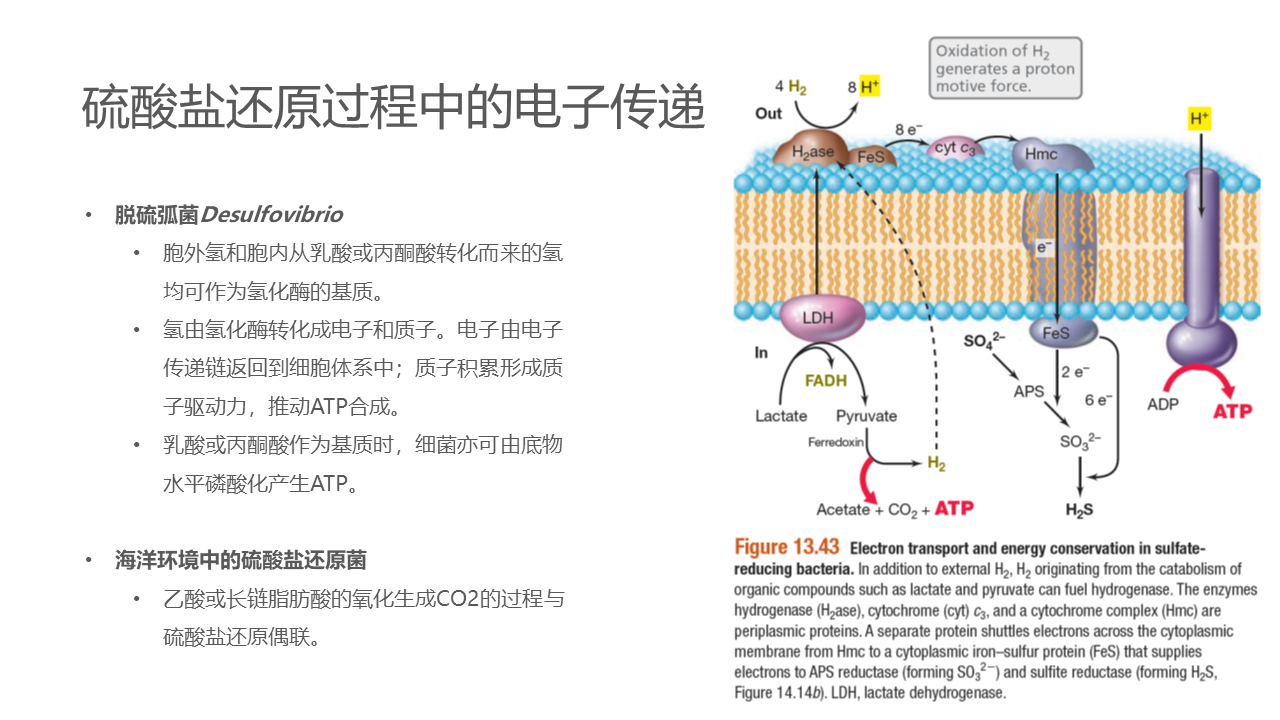 幻灯片43.PNG