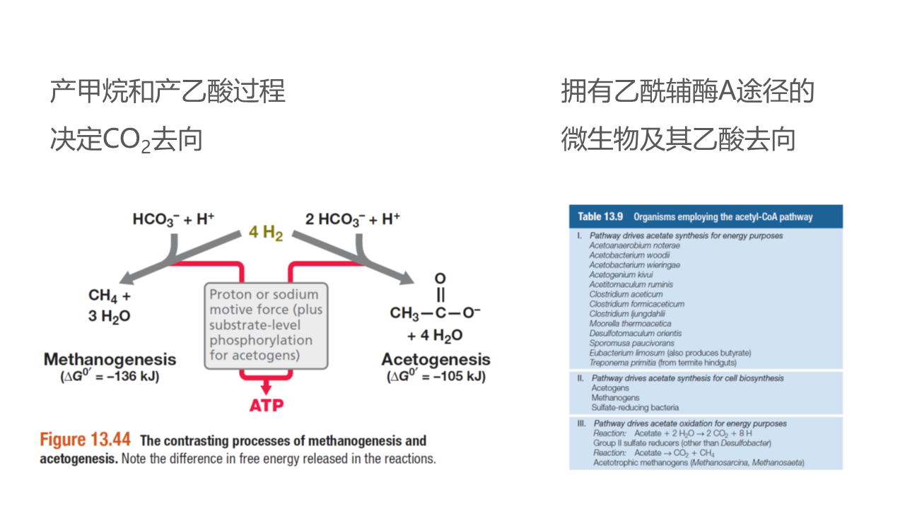 幻灯片45.PNG