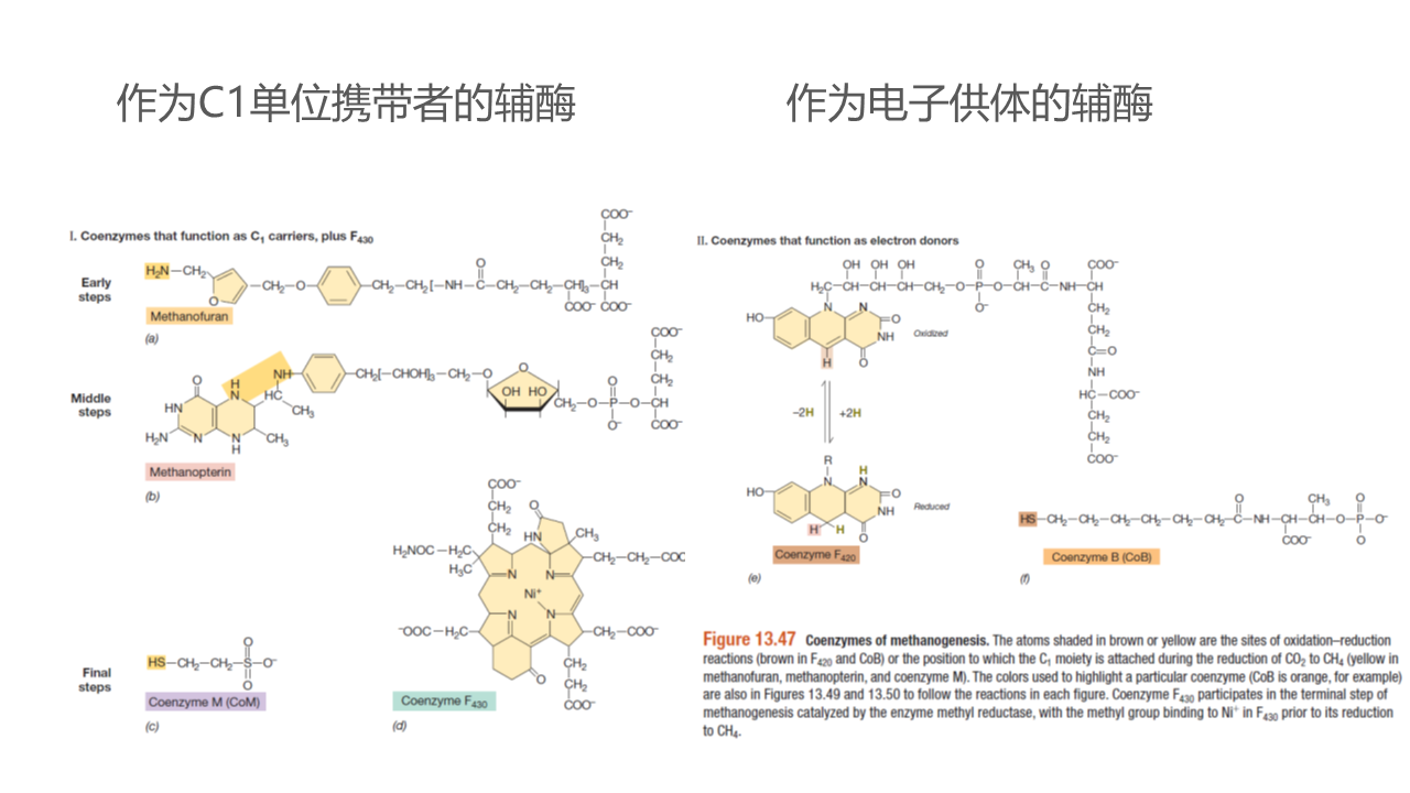 幻灯片49.PNG
