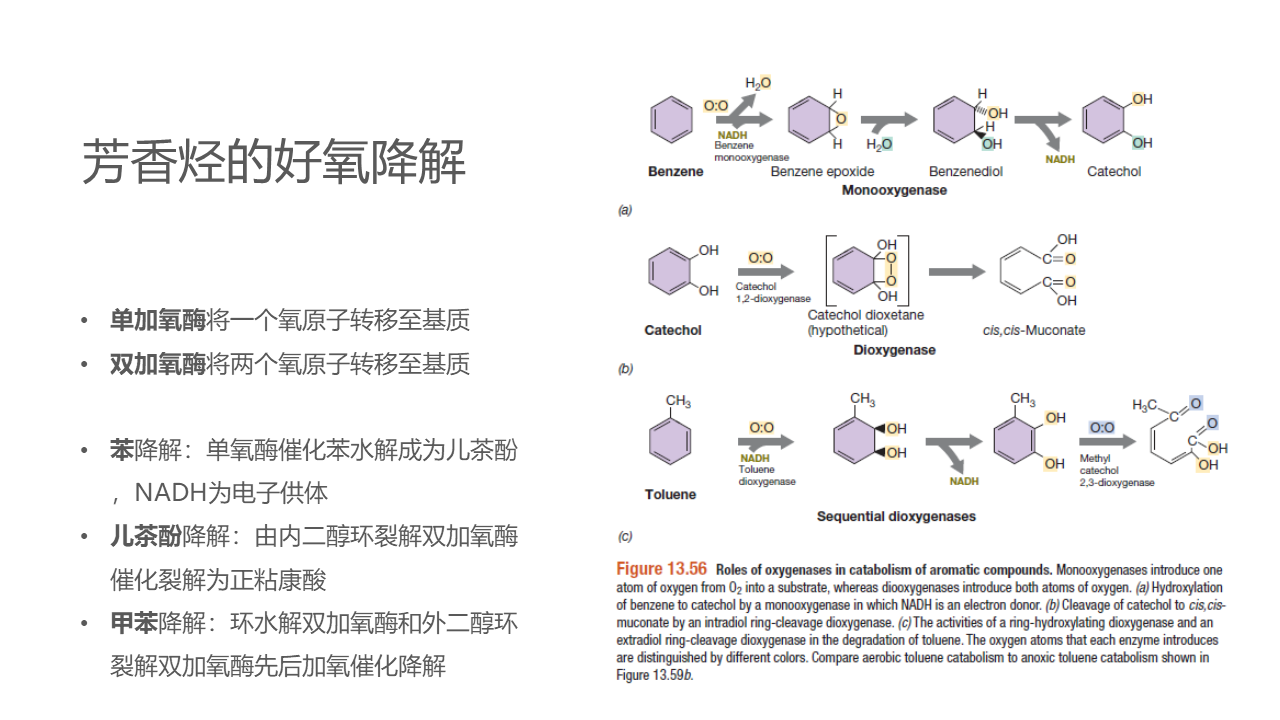 幻灯片56.PNG