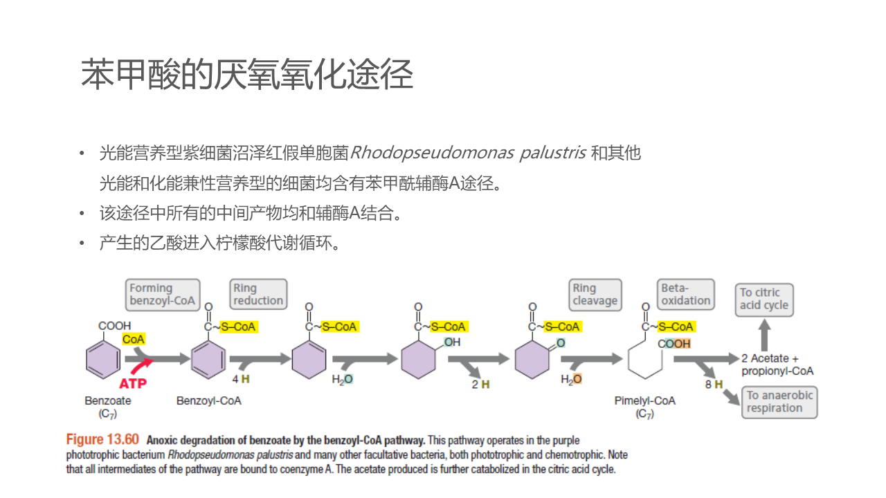 幻灯片59.PNG