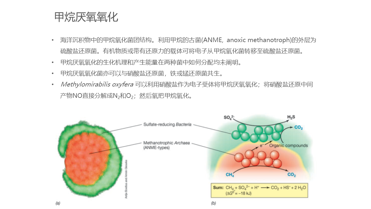 幻灯片60.PNG