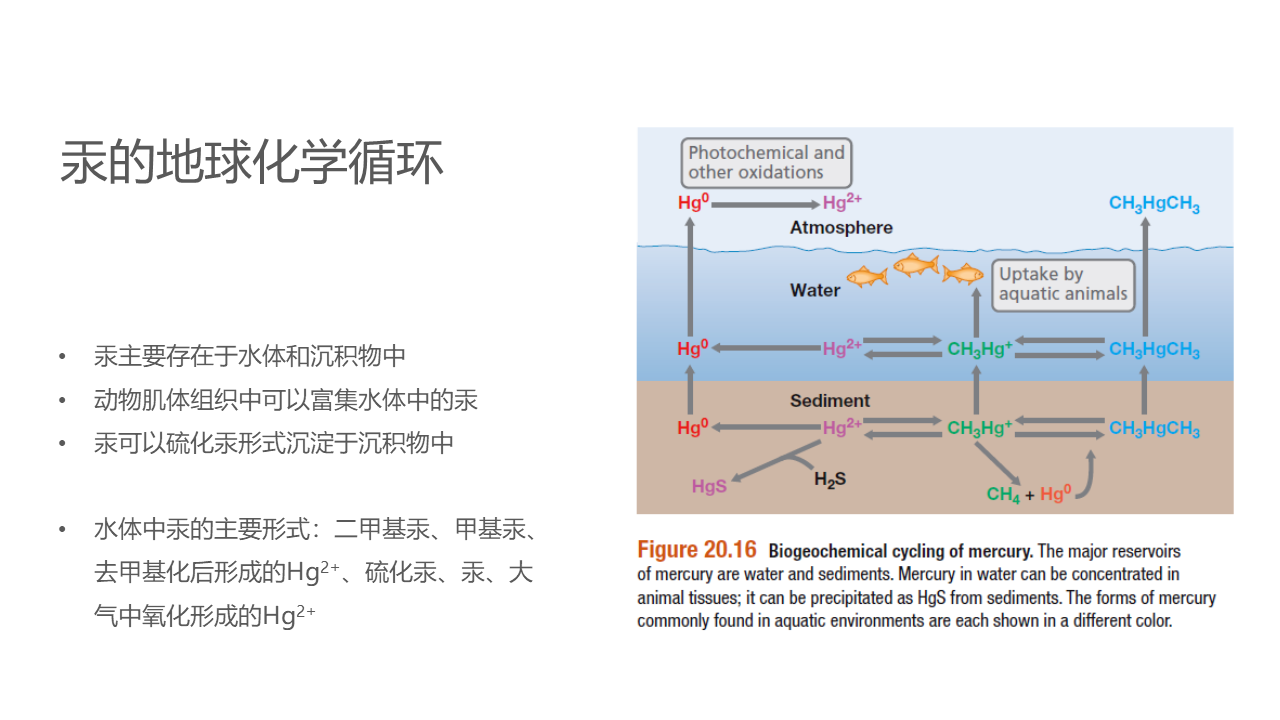 幻灯片14.PNG