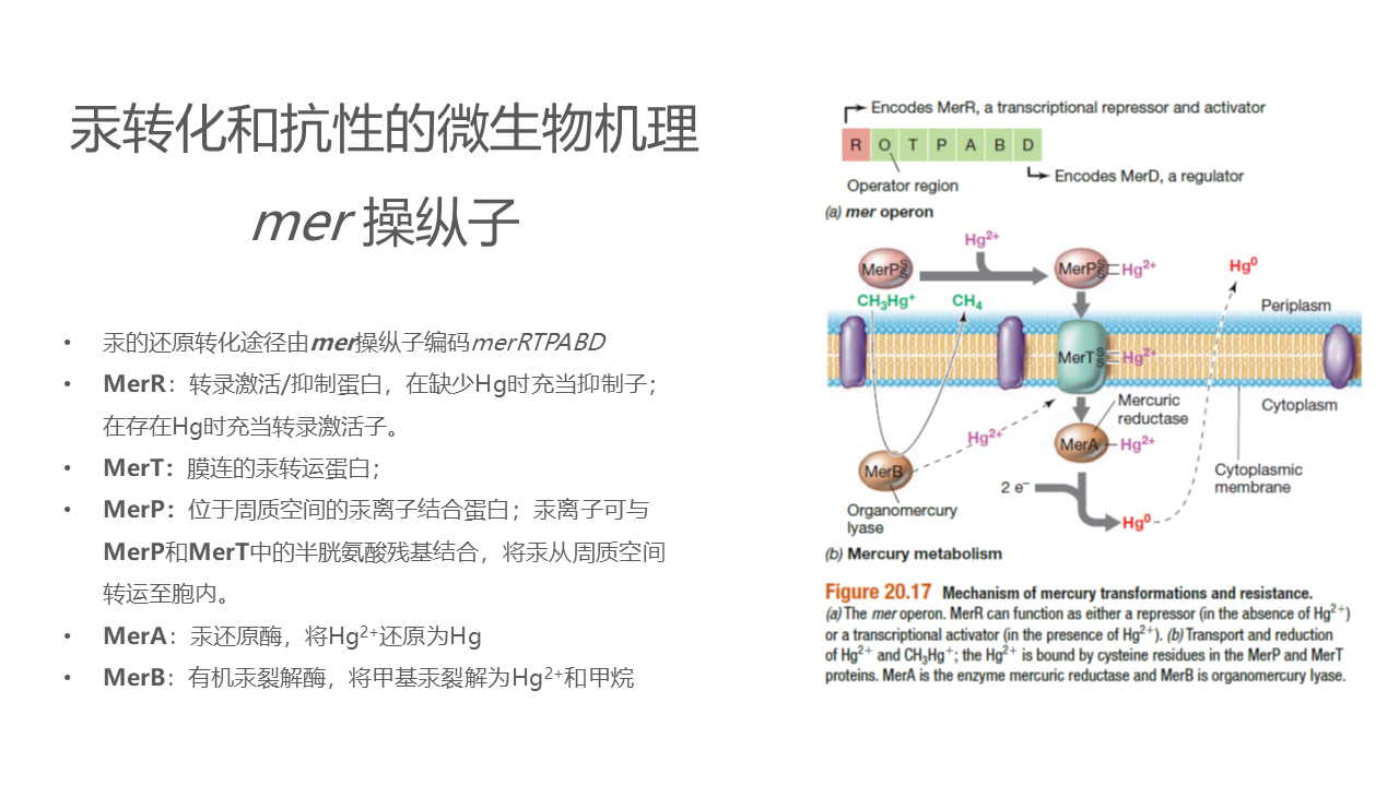 幻灯片15.PNG