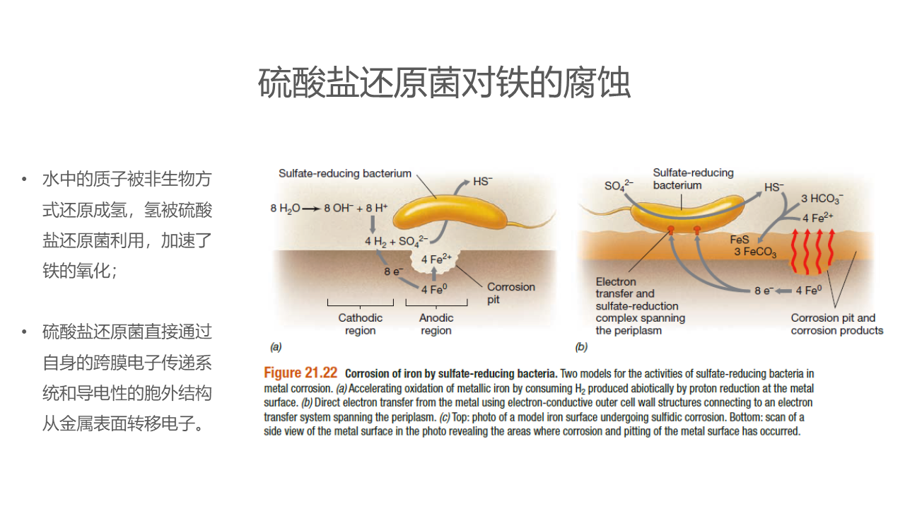 幻灯片23.PNG