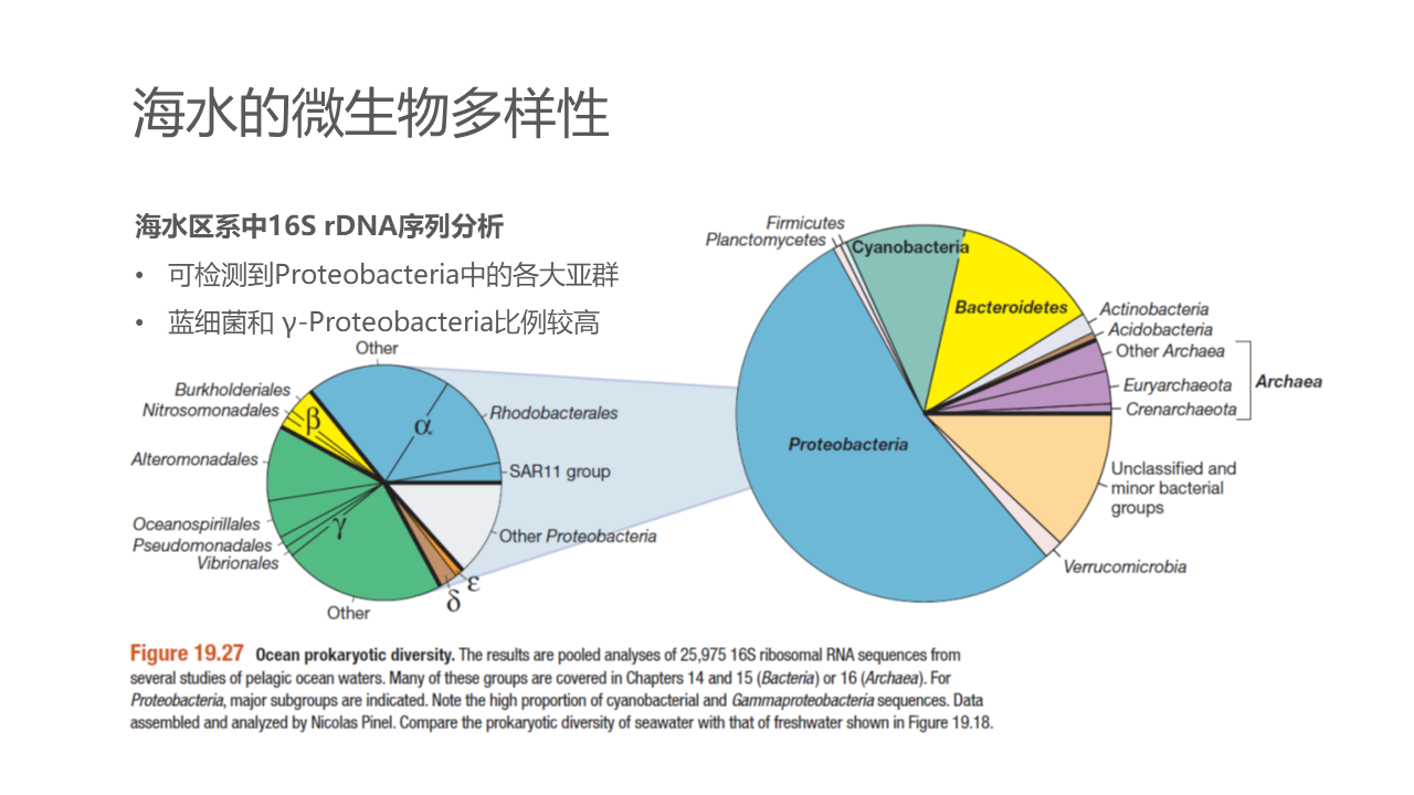 幻灯片10.PNG