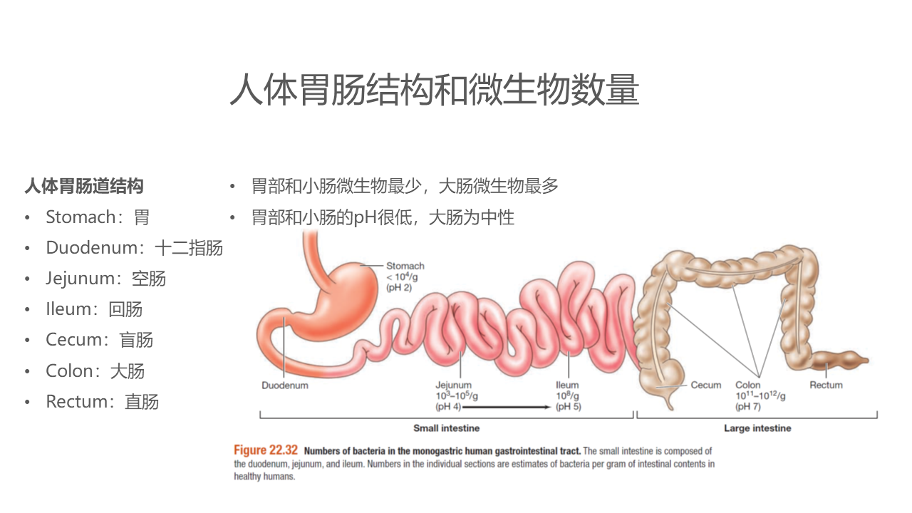 幻灯片15.PNG