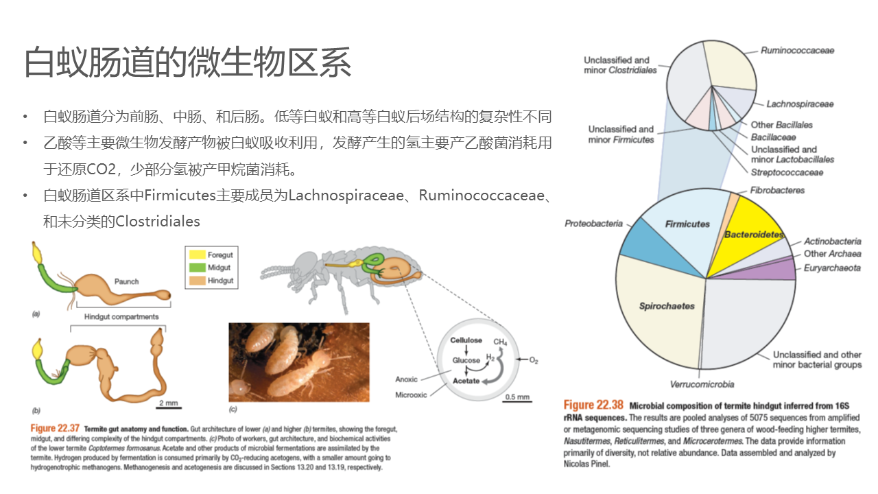 幻灯片21.PNG