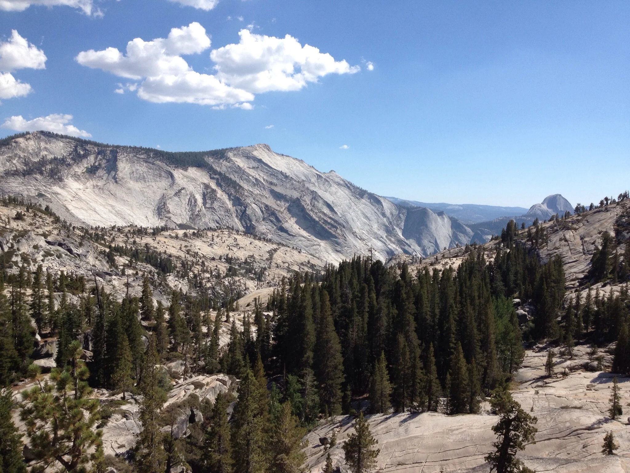 You should definitely come to Yosemite