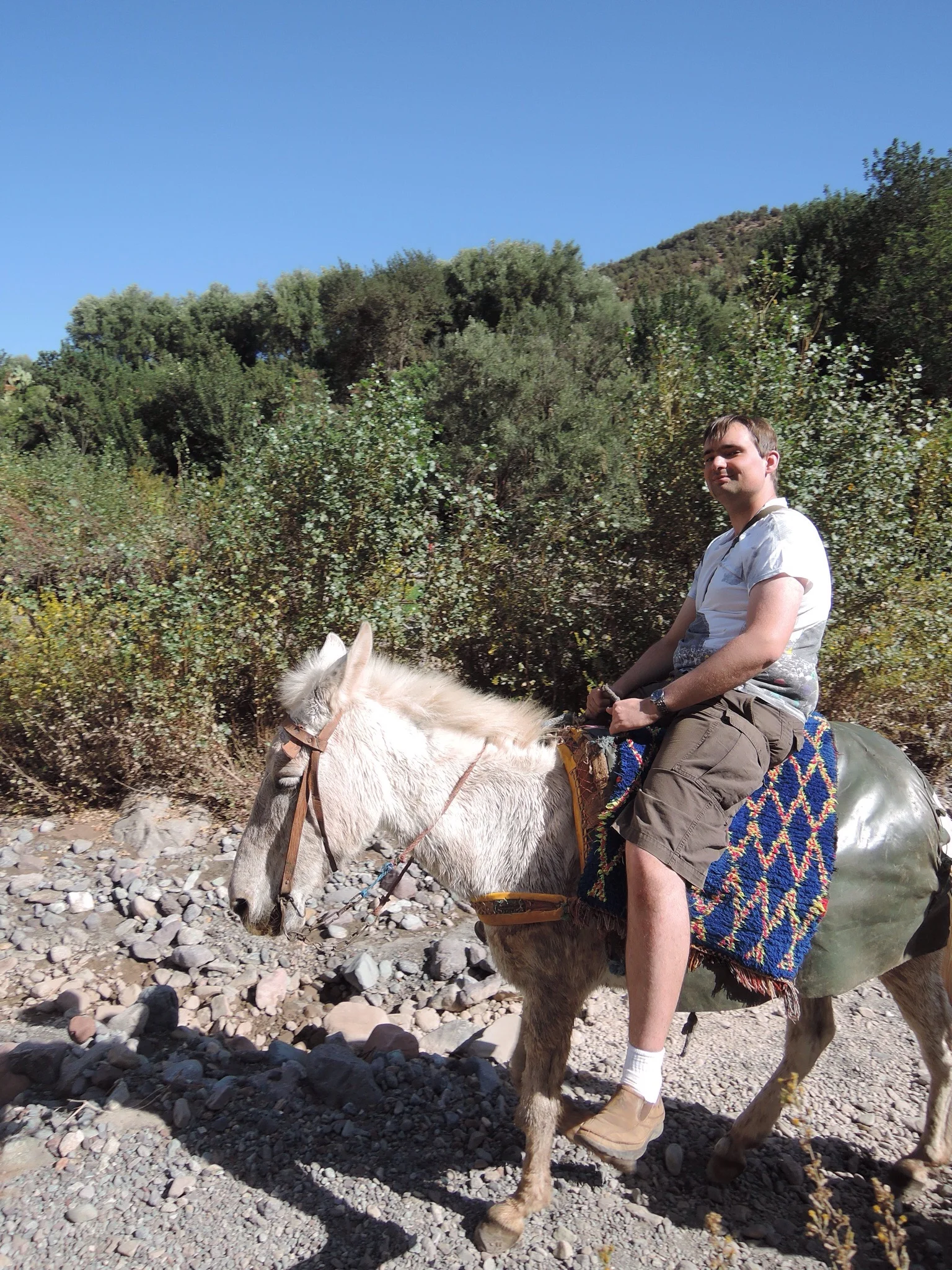 She's called Linda. Apparently that's a good Berber name for a mule.